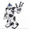 Robosapien