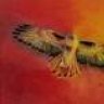 RedHawk88