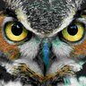 OWL282820