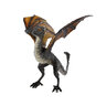 HUNGRY_dragon