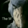 TheWShoebill