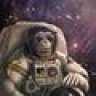 TheBravoChimp