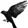 Jack Daw
