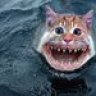 Killakittie