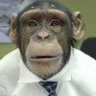 CrazyMonky