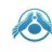 ShogunToyo