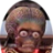 GAlex