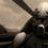 Warthog
