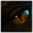 DraconianOne
