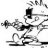 Ronnie Raygun