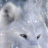 Fixius